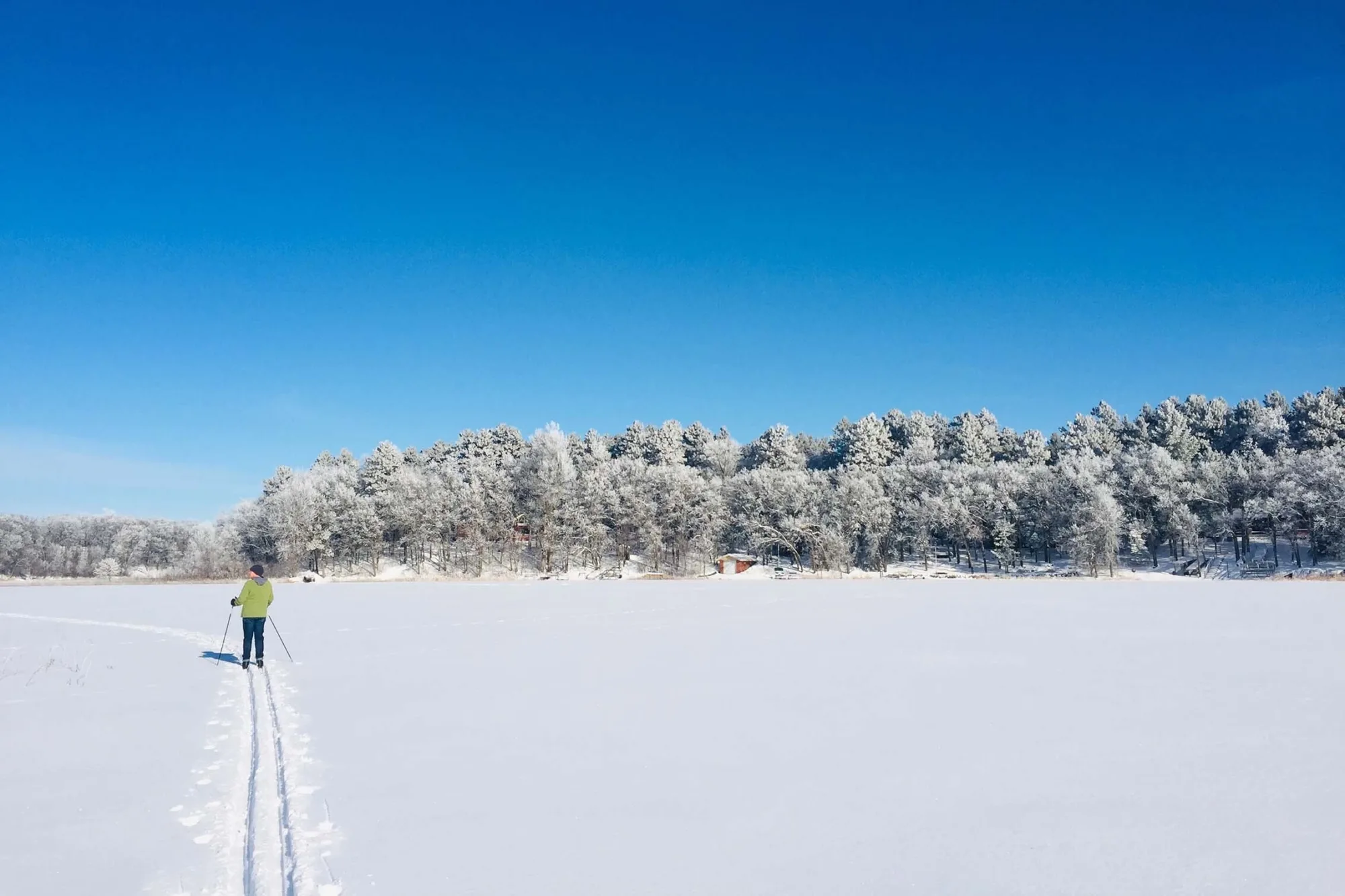 Person cross country skiing in a Minnesota winter