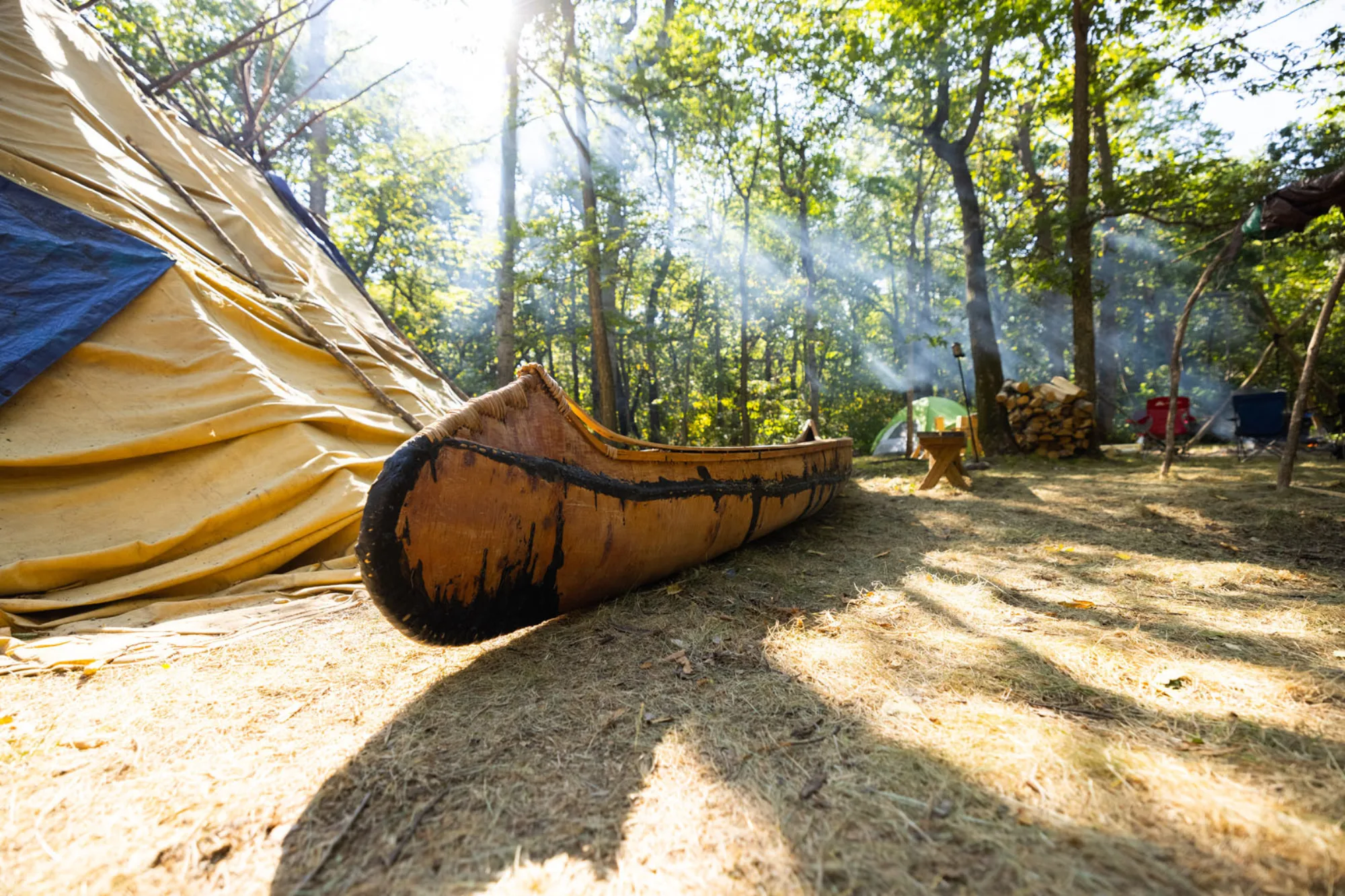 Birchbark canoe in the forest