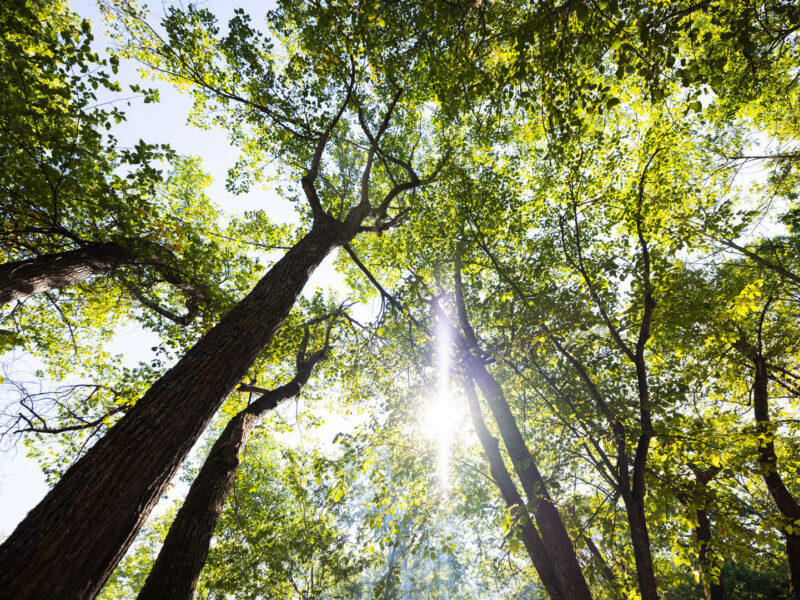 Read Beyond ESG: Sustainable Investment