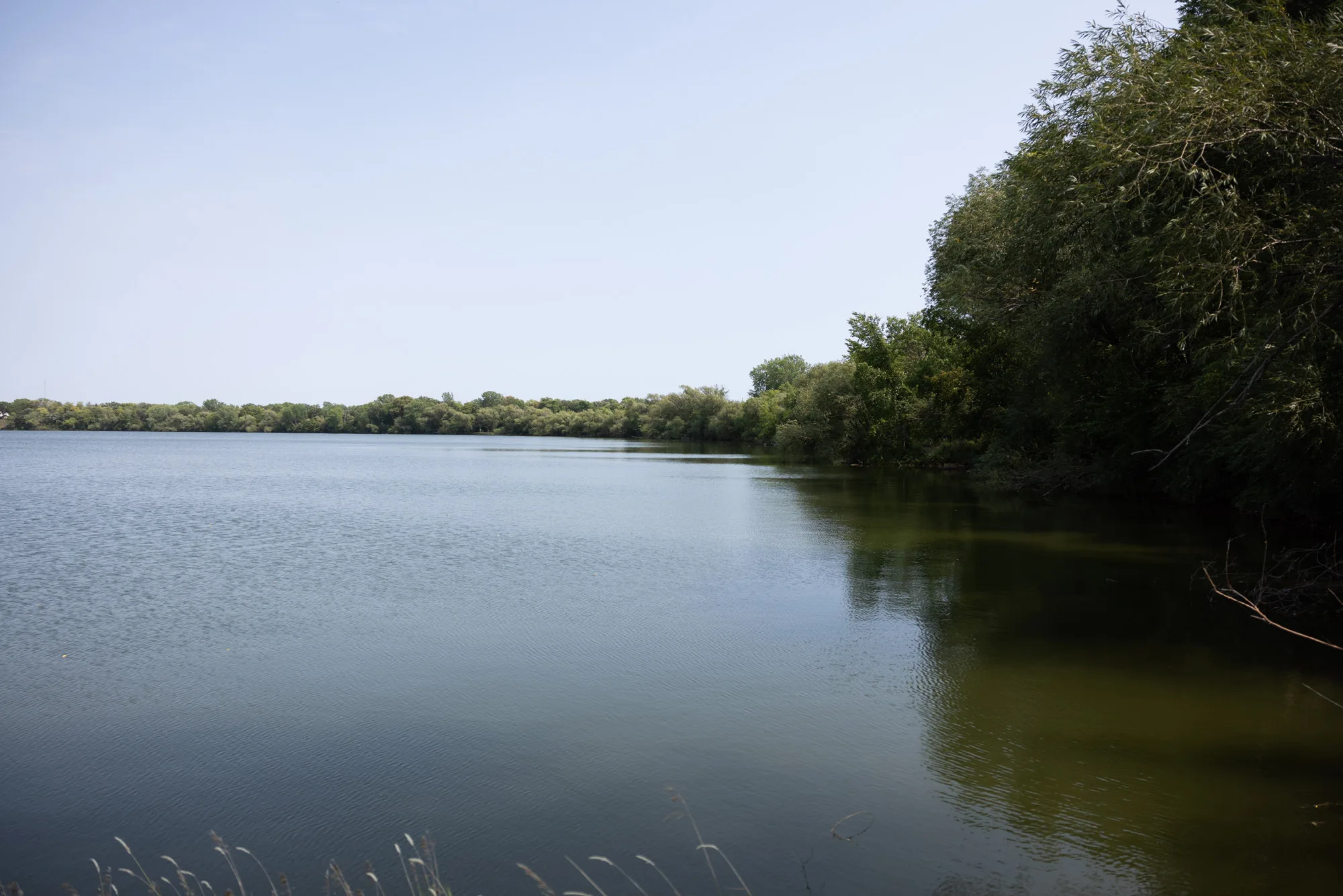 Longfellow 16
