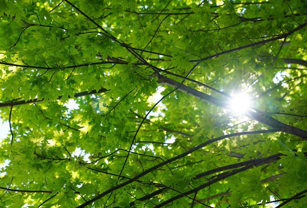 Future Ready Portfolio