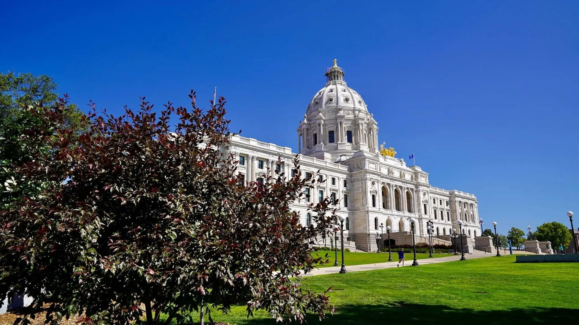 MN State Capitol