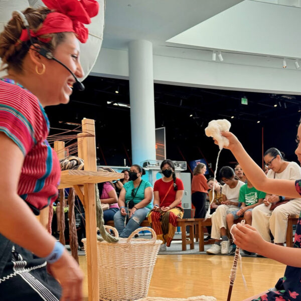 Minnesota Latino Museum: Celebrating Mexican and Latino Art and Culture