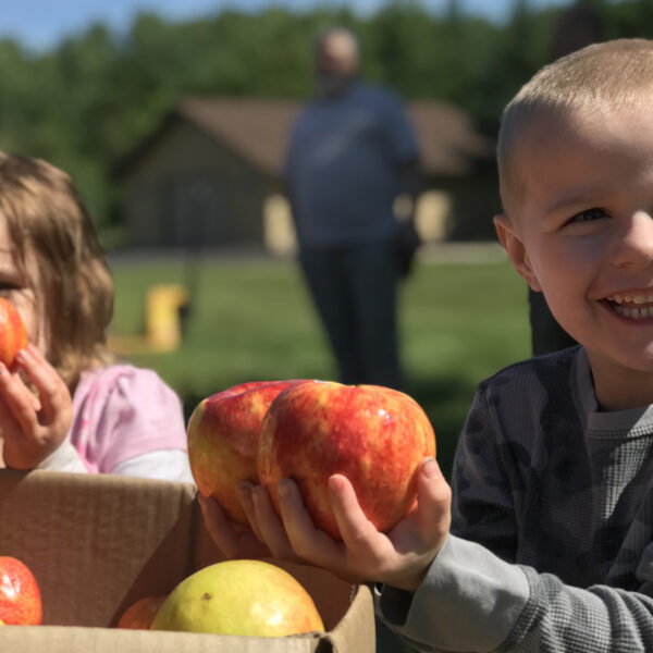 Fall Harvest: Food Support Nonprofits