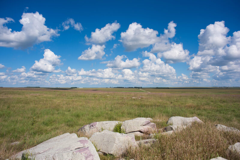 Minnesota landscape