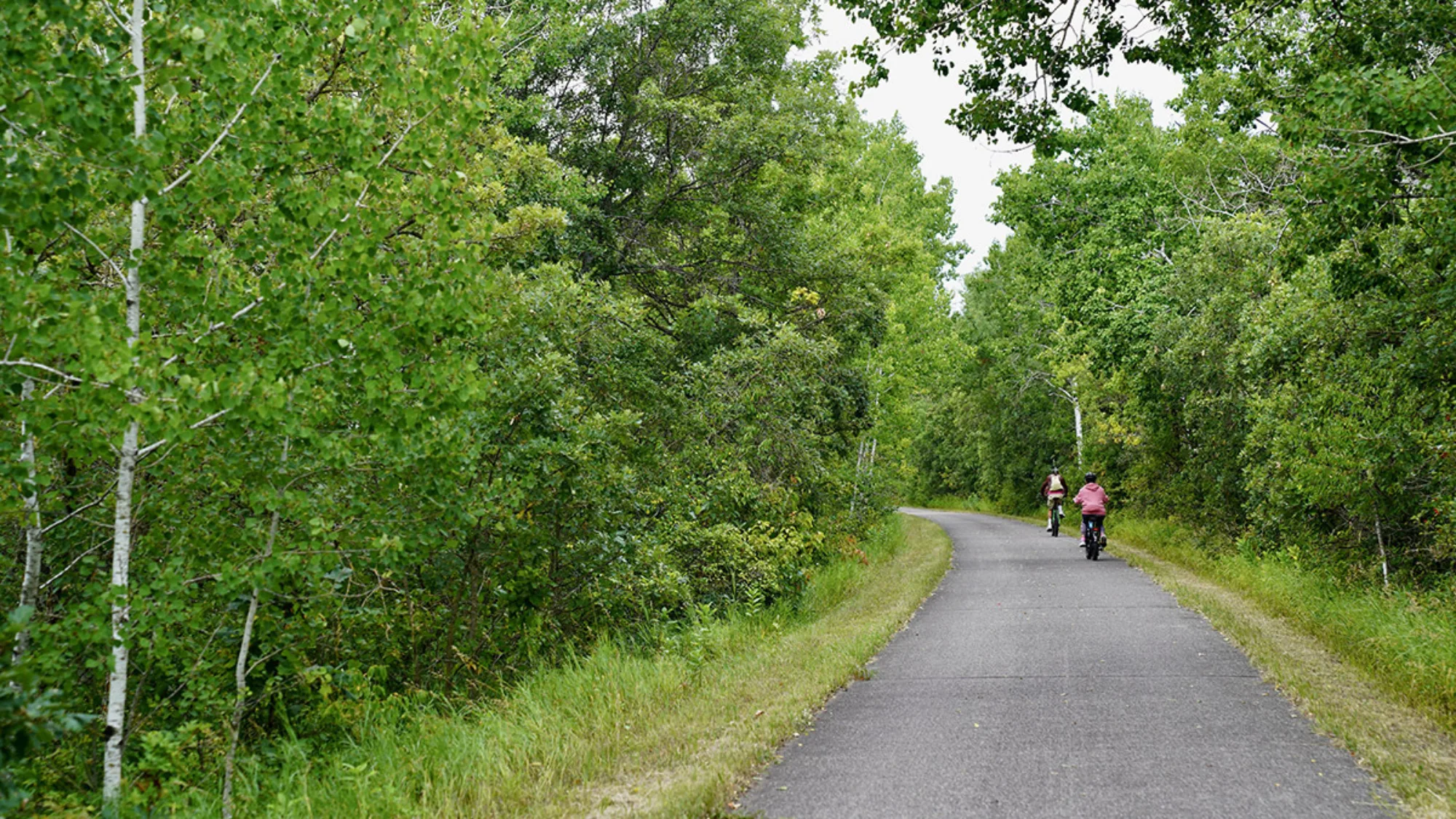 People biking on a Minnesota trail