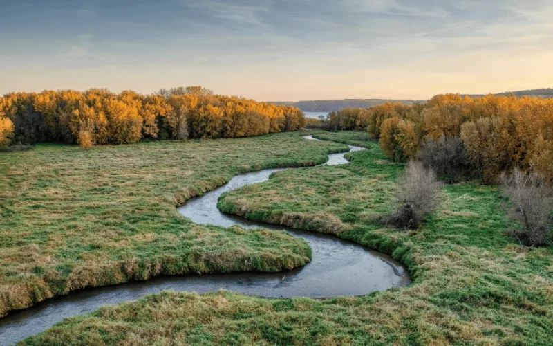Stream in a landscape