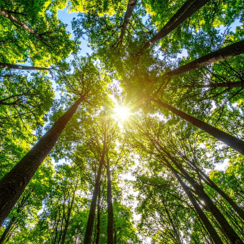 Investments Launch Webpage