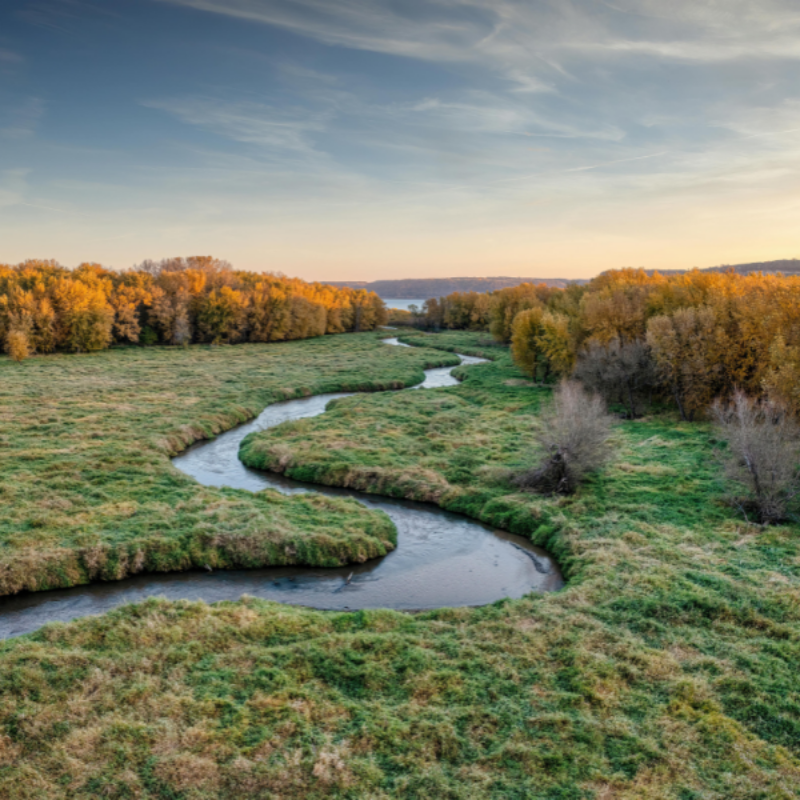 Landscape Donor Briefing Webpage