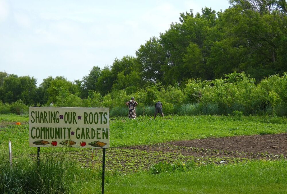 Sharing Our Roots