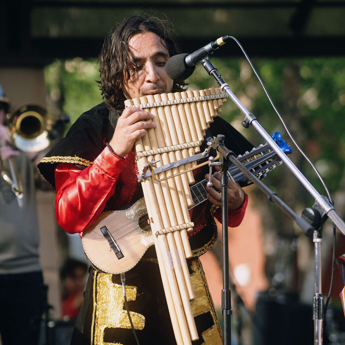 Vladimir Garrido Biagetti playing an instrument onstage